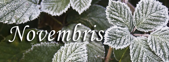 Mēness kalendārs 2015. gada novembrim