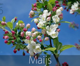 Mēness kalendārs 2016. gada maijam