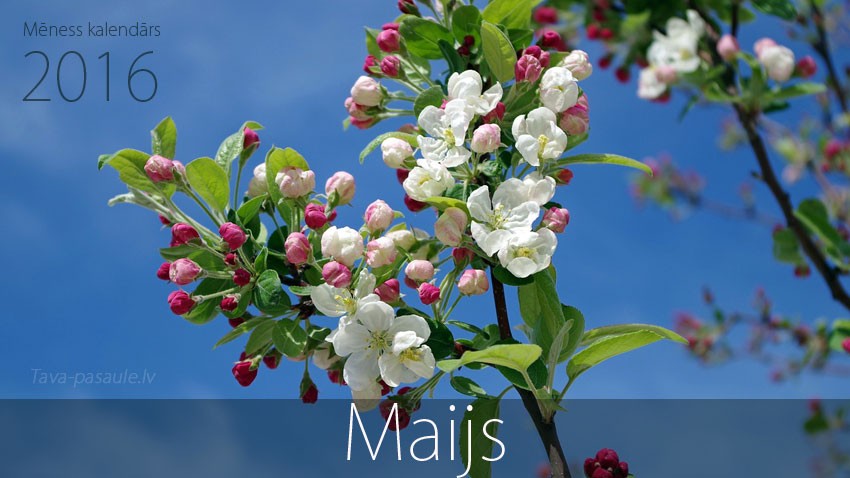 Mēness kalendārs 2016. gada maijam