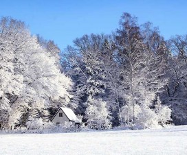 Dārza darbu kalendārs 2016. gada februārim
