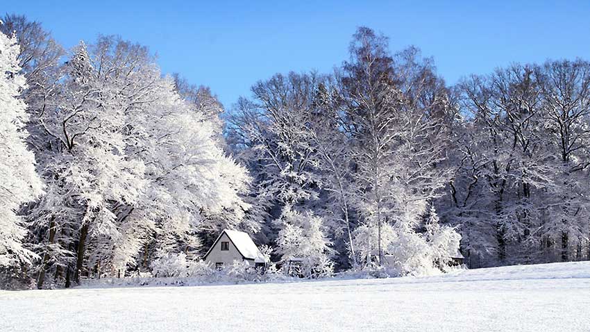 Dārza darbu kalendārs 2016. gada februārim