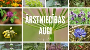 Ārstniecības augi