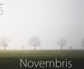 Mēness kalendārs 2016. gada novembrim