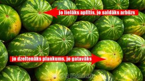 Arbūzu laiks: garšīga arbūza noslēpumi