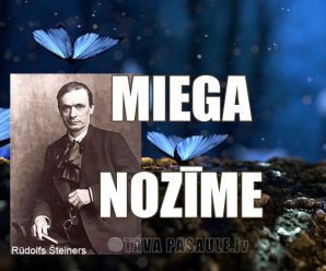 Par miega nozīmi