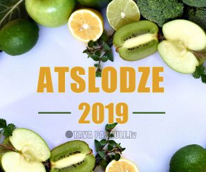 Atslodzes dienas 2019. gadam