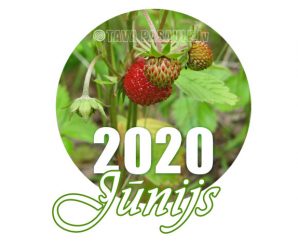 Mēness kalendārs 2020. gada jūnijam