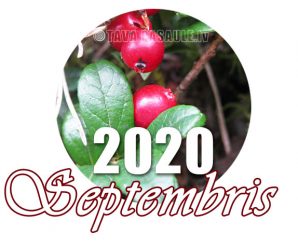 Mēness kalendārs 2020. gada septembrim