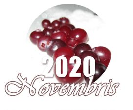 Mēness kalendārs 2020. gada novembrim