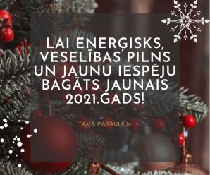 Priecīgus Ziemassvētkus, laimīgu un panākumiem bagātu 2021. gadu!