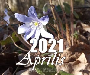 Mēness kalendārs 2021. gada aprīlim