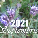 Mēness kalendārs 2021. gada septembrim