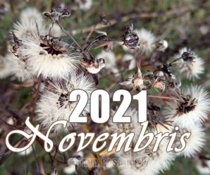Mēness kalendārs 2021. gada novembrim
