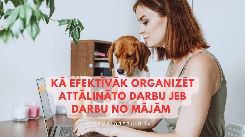 Kā efektīvāk organizēt darbu no mājām