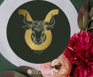 Jaunmēness Vērša zodiaka zīmē
